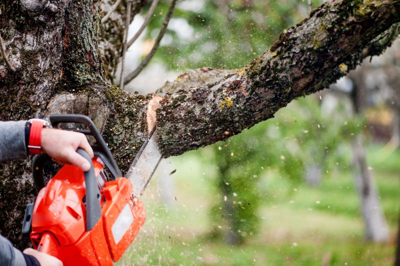 Cherry Tree Removal in Montgomery County, PA