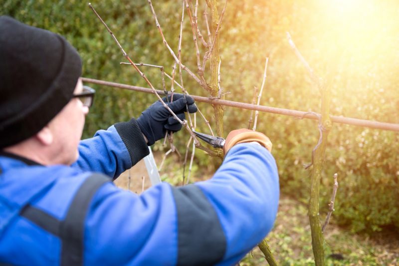 Spring Pruning Benefits